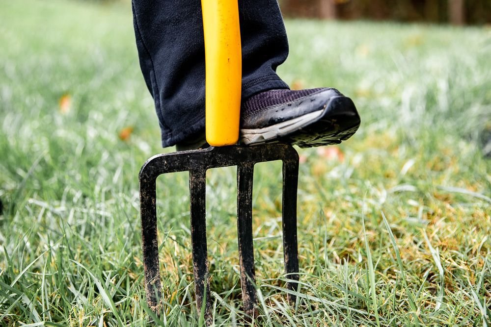 Lawn Disease & Fungus Treatment