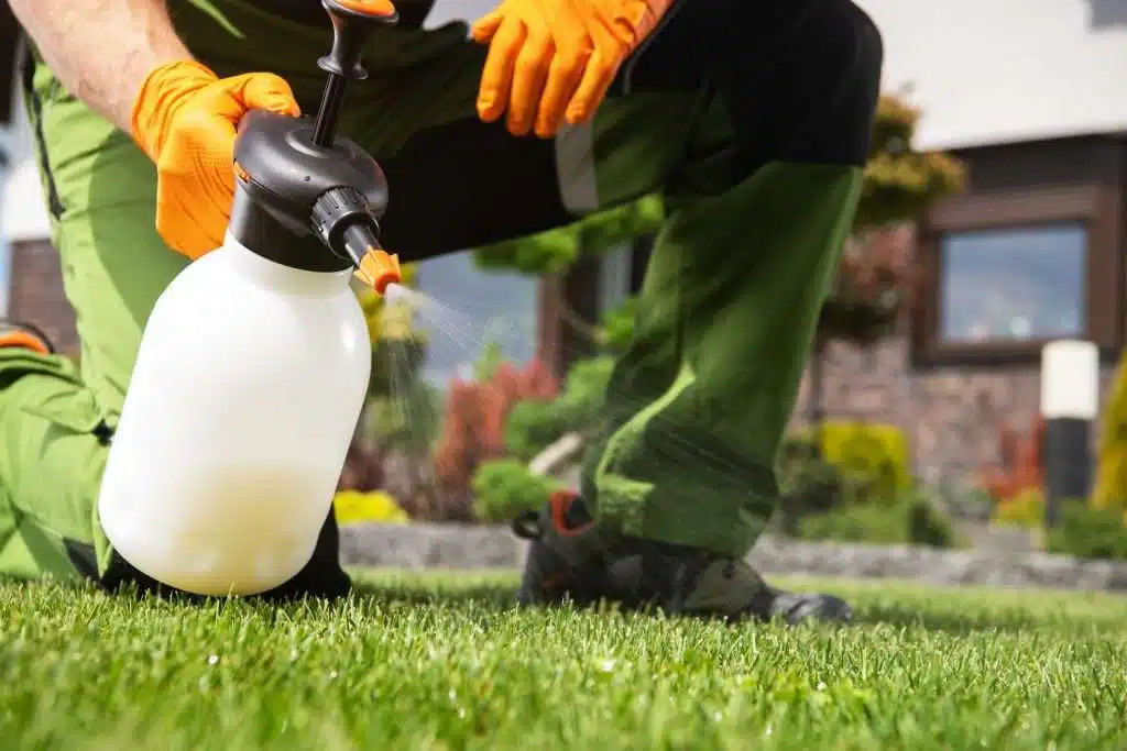 Fertilization & Weed Control Benefits