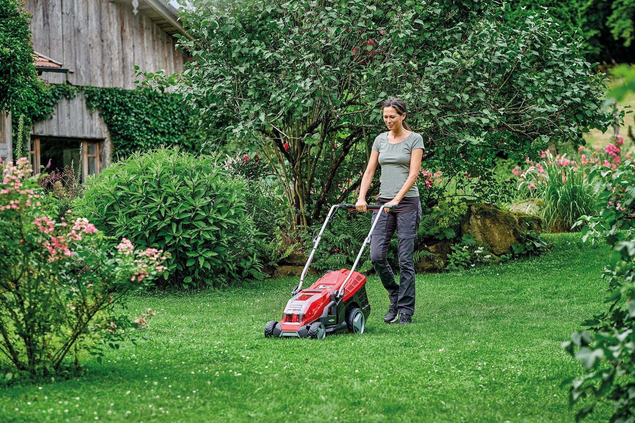 Summer Lawn Care Tips
