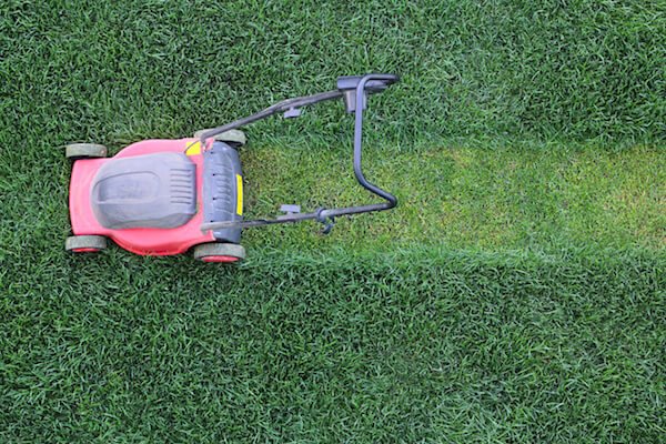 Benefits of Lawn Aeration