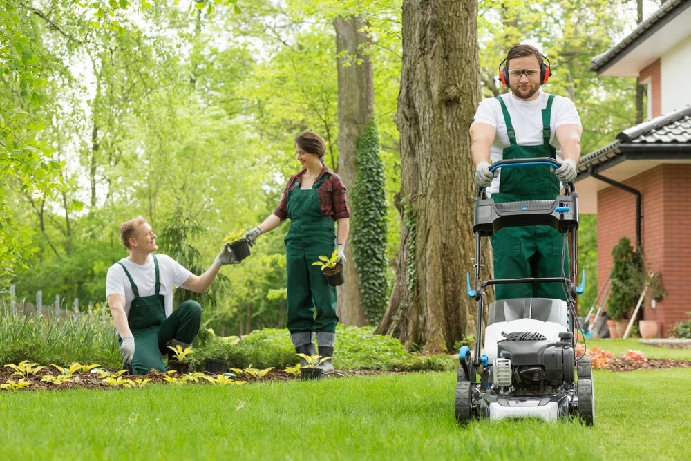 Benefits of Professional Lawn Mowing