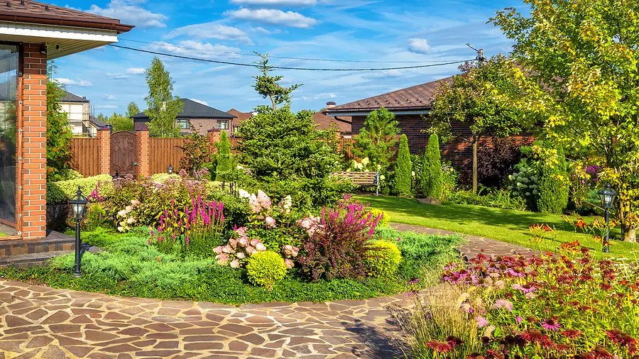 Professional Lawn Mowing Benefits