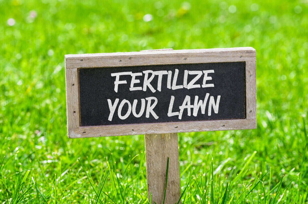 Best Lawn Fertilization Schedule