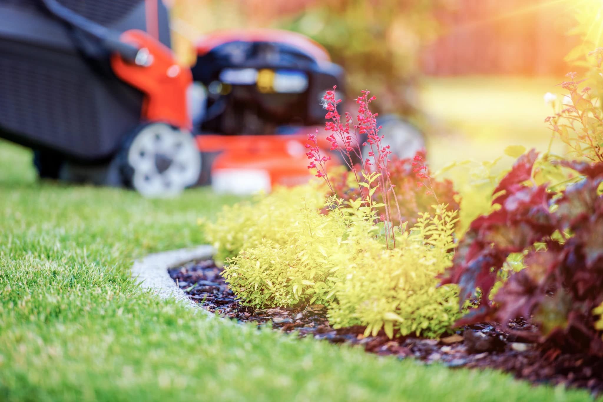 Best Lawn Care Schedule Guide