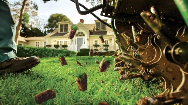 Aeration & Overseeding Benefits