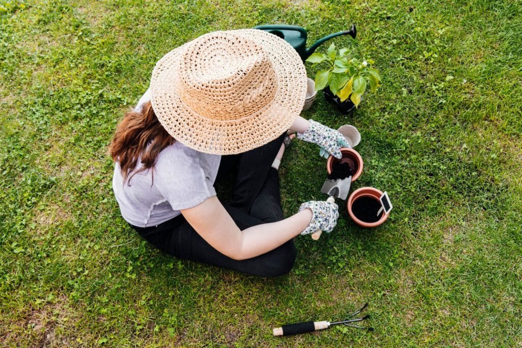 The Importance of Seasonal Lawn Care