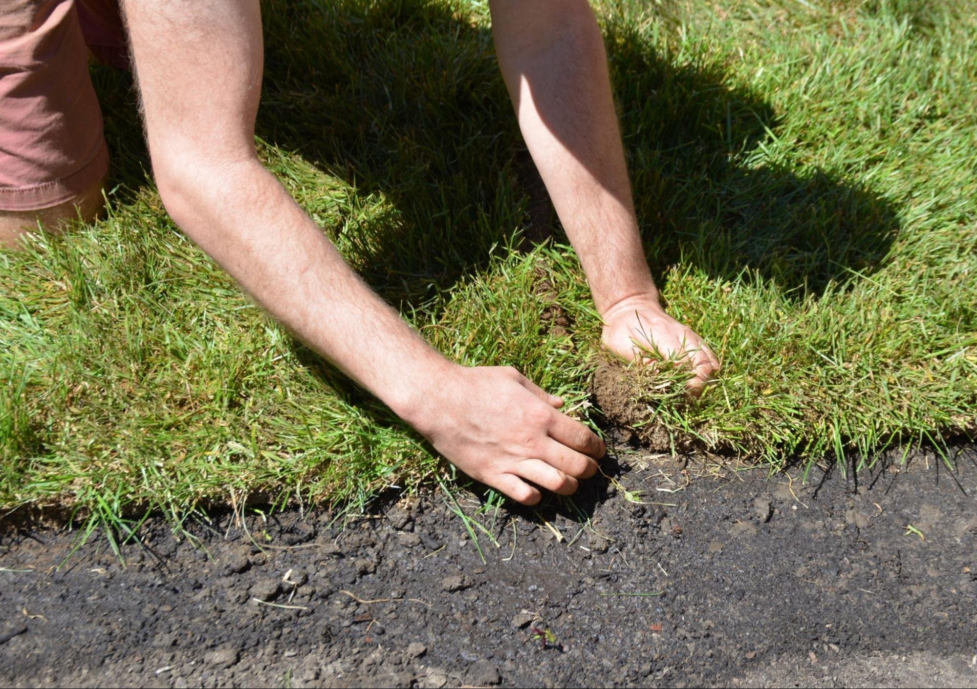 Top Lawn Watering Mistakes