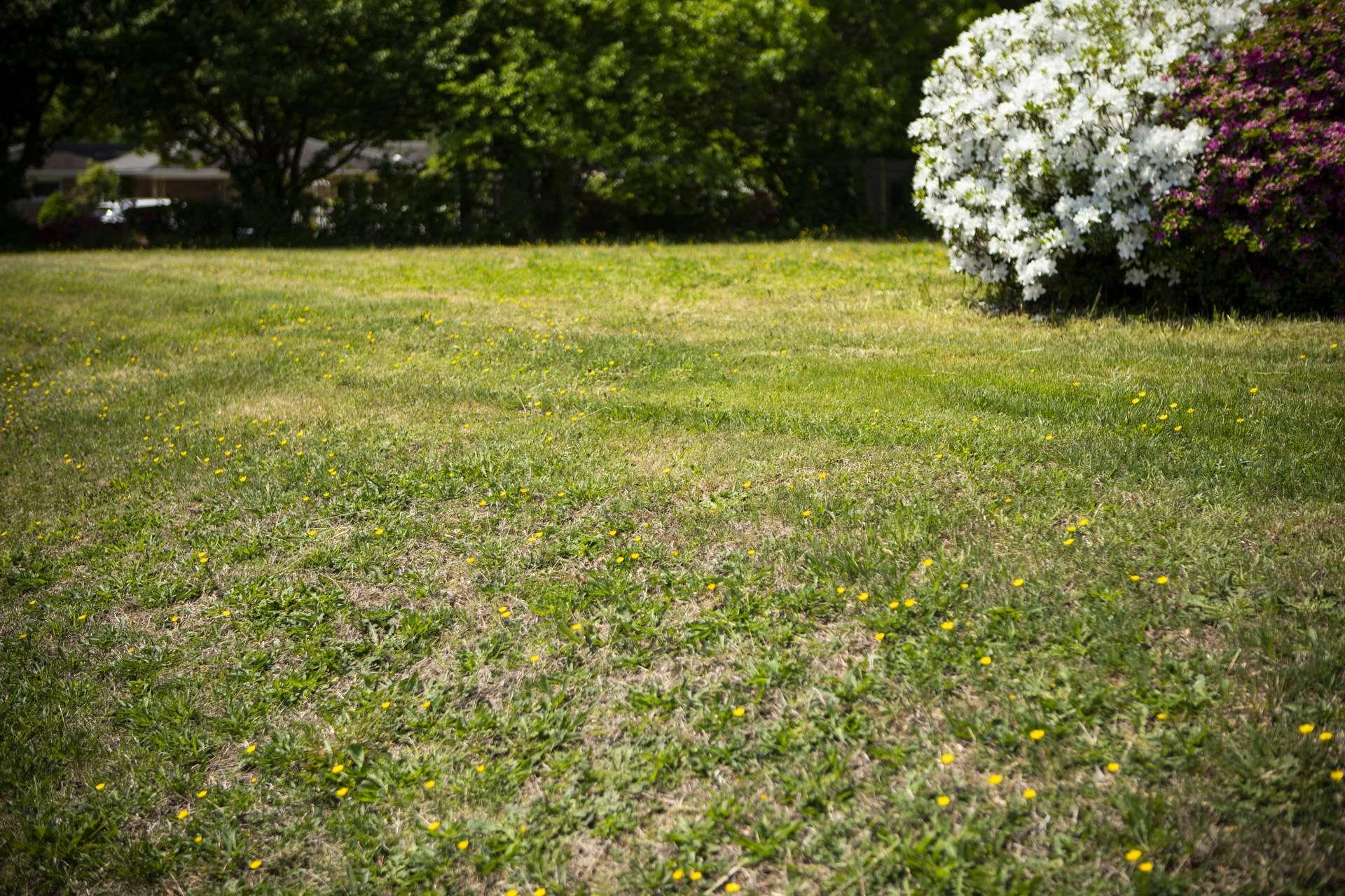 Mow Reduction Treatment