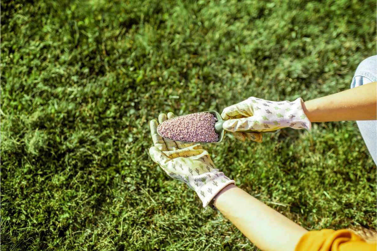 Why Lawn Fertilization Matters