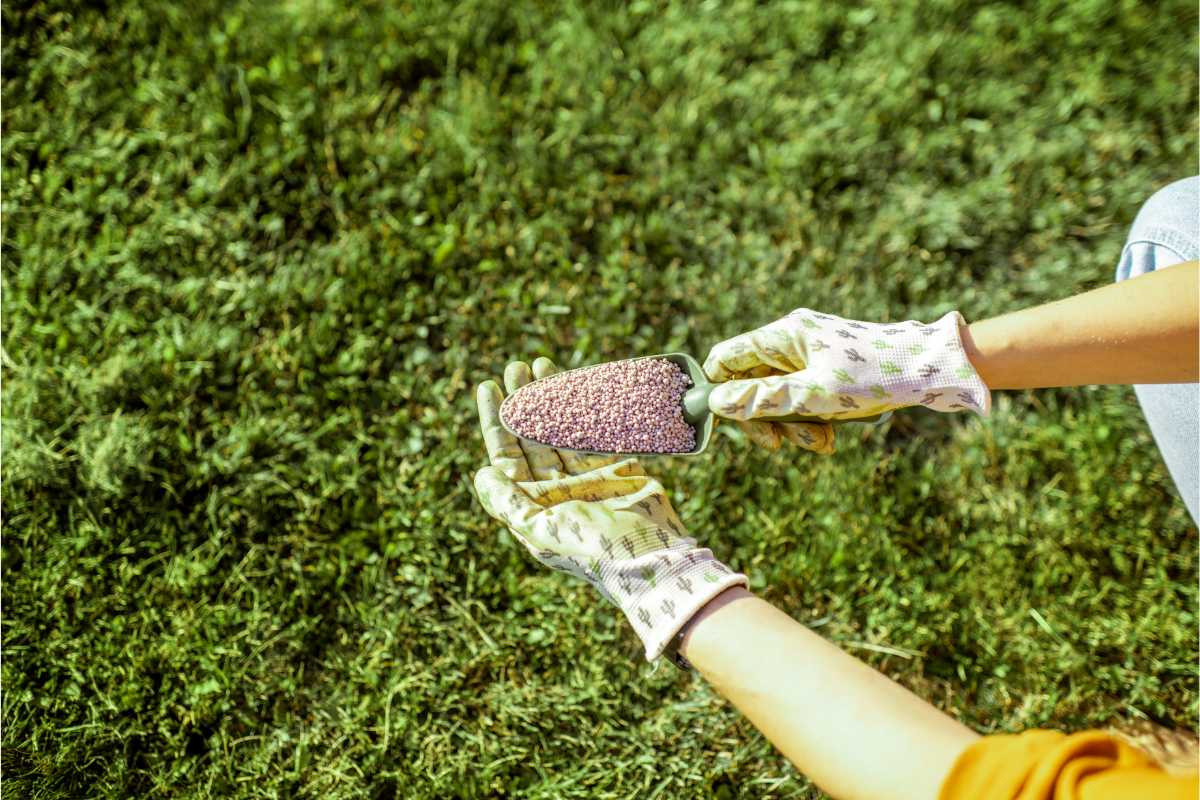 Why Lawn Fertilization Matters
