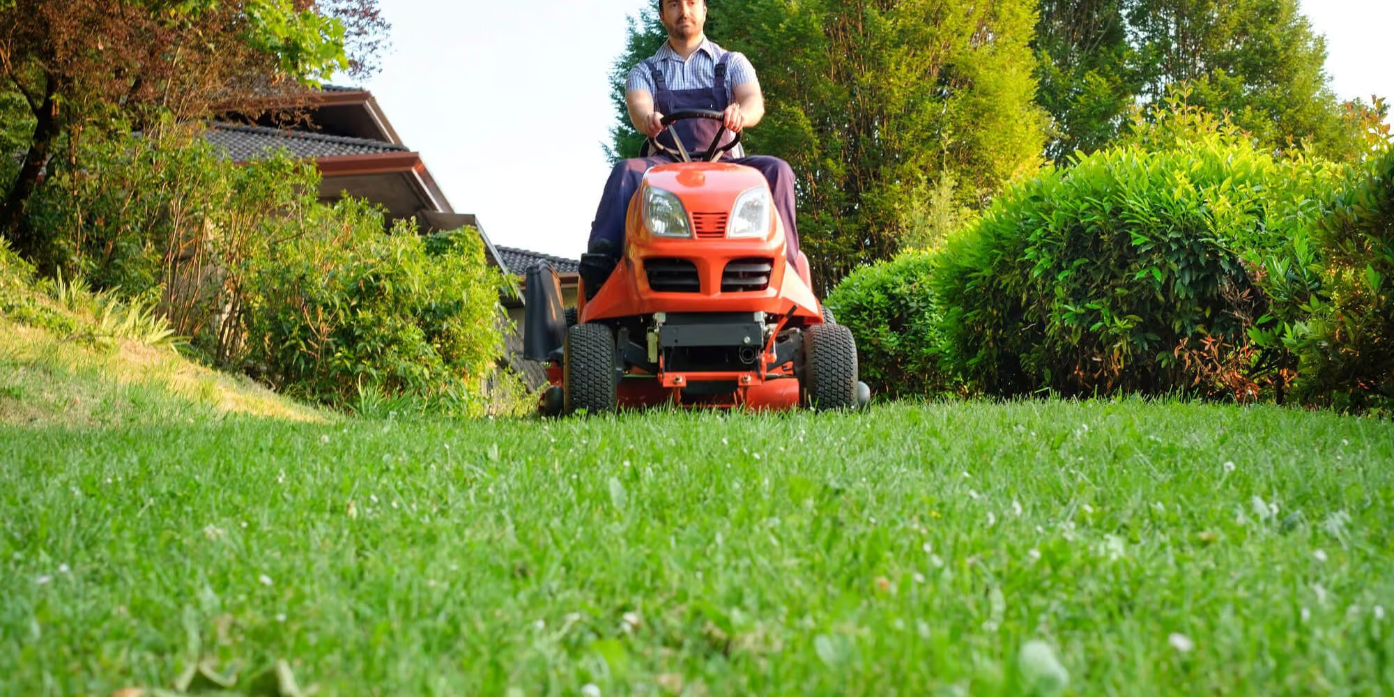 How to Keep Your Lawn Green Year-Round