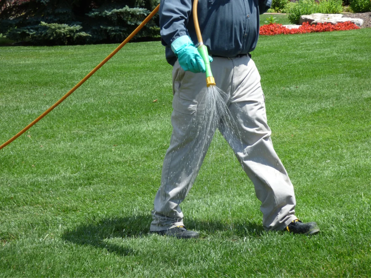 Man watering a lawn with a garden hose