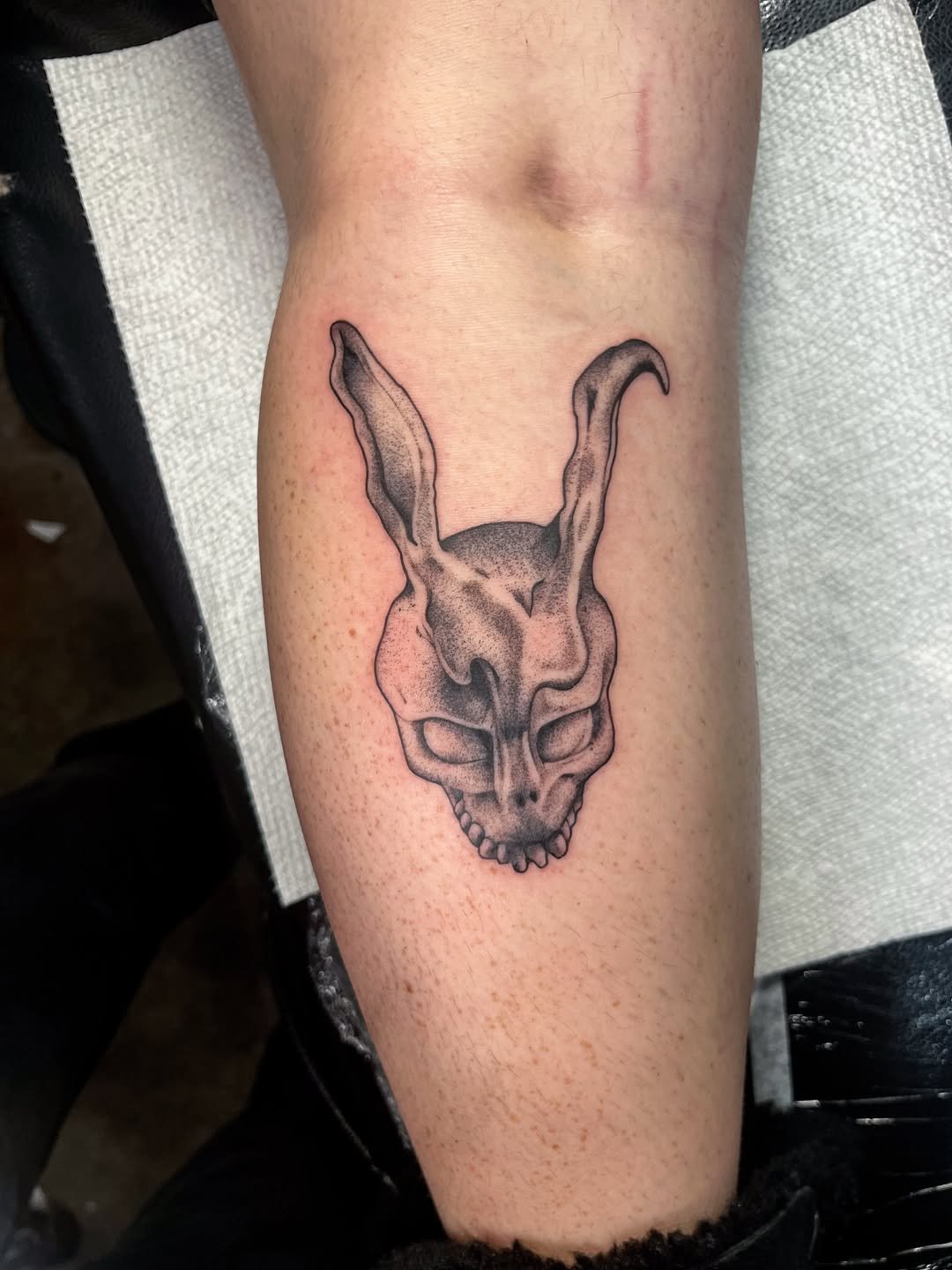 Realistic tattoo of a skeletal rabbit head with long ears on a forearm.