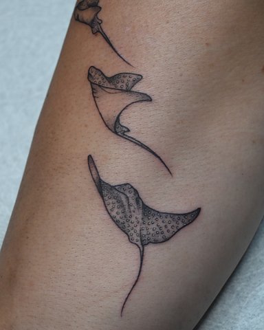Elegant tattoo design of stingrays on skin