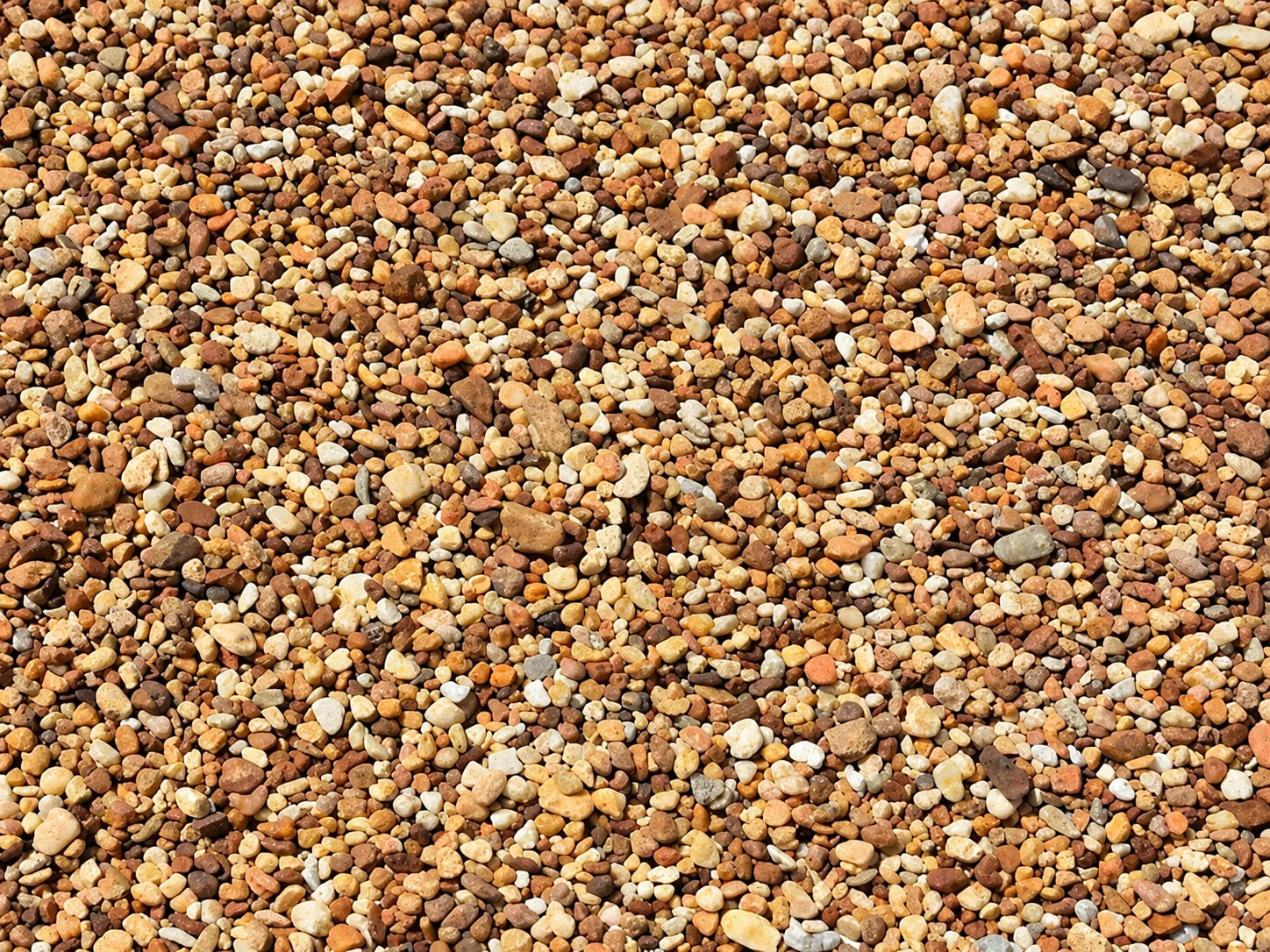 Textura de guijarros naturales multicolores.webp