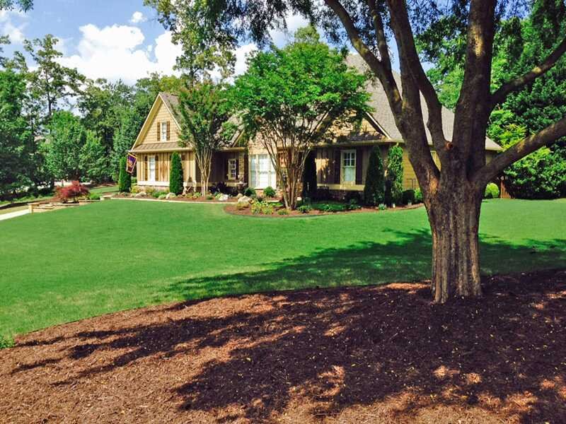 Beautiful home with vibrant green lawn and trees