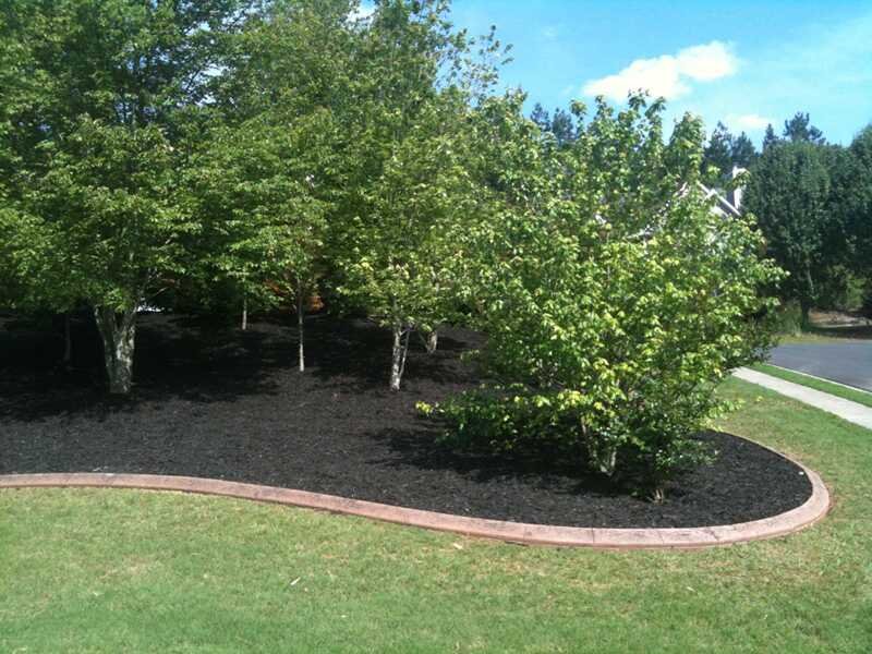 A landscaped garden featuring green trees and mulch.