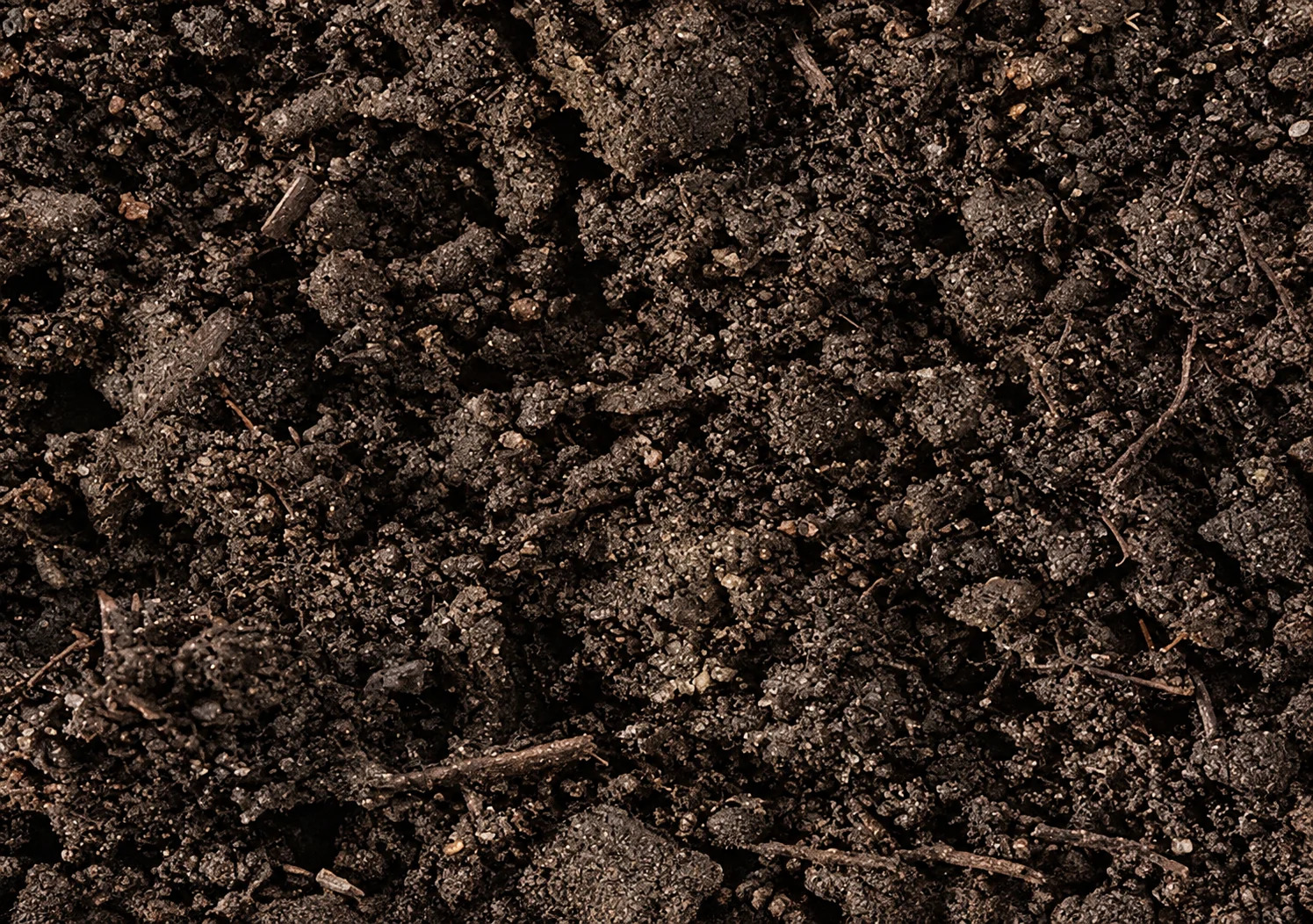 Close-up of rich, dark soil texture