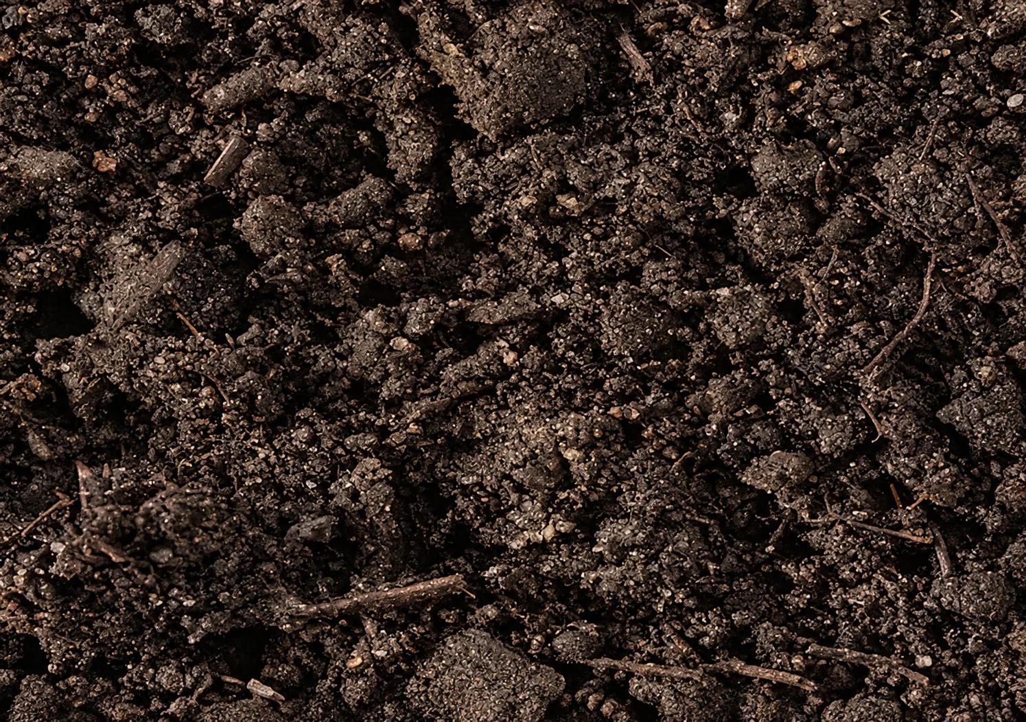 Close-up of rich, dark soil texture
