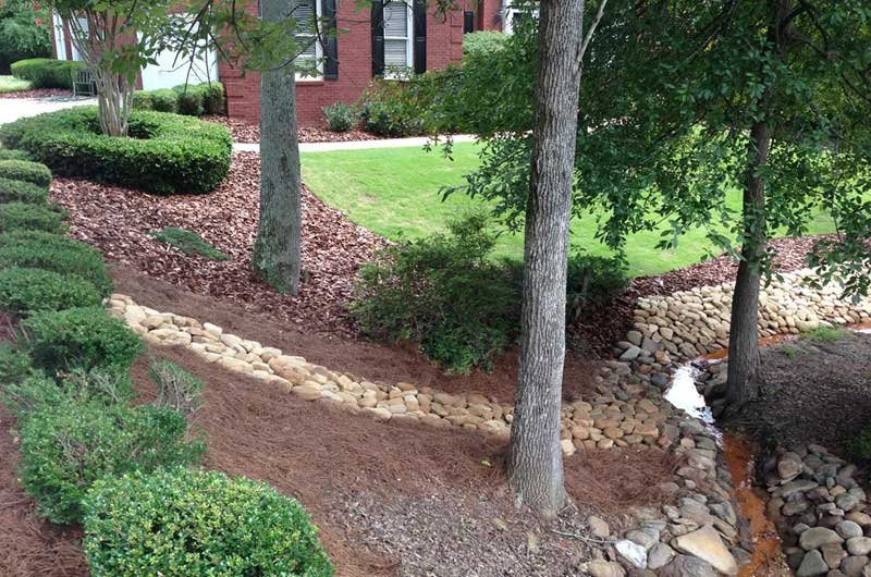 Stone-lined garden path with green shrubs and trees