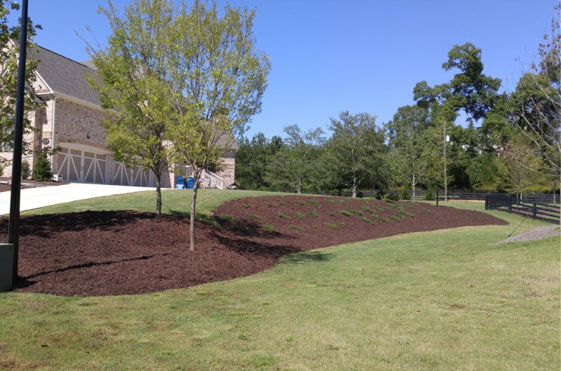 Landscaped yard with trees and mulch bedding