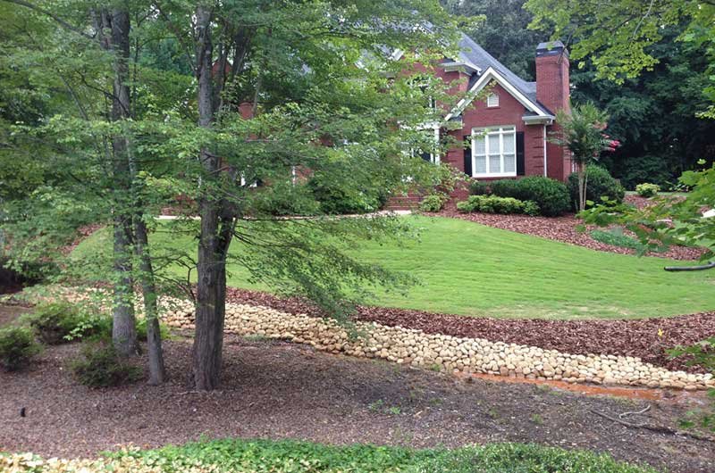 Residential landscape with well-defined lawn and stone path