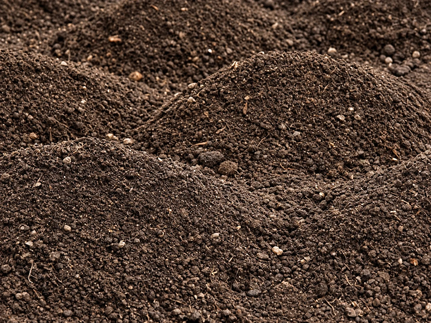 Rich dark soil in mounded textures