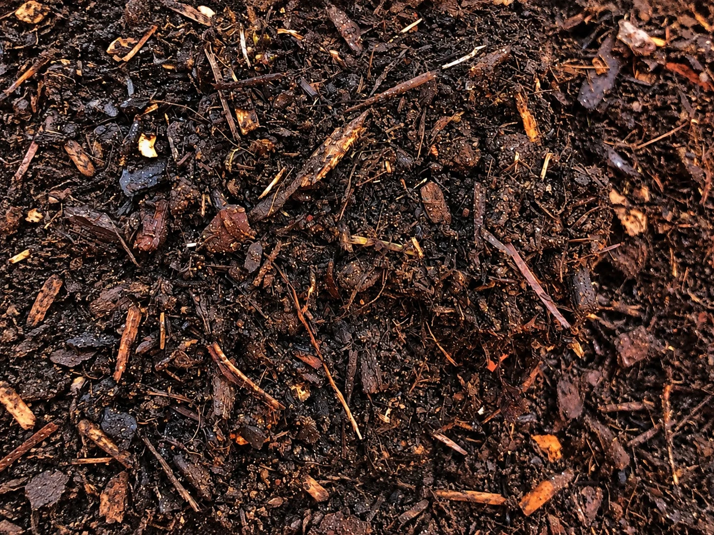 dark rich soil with organic material