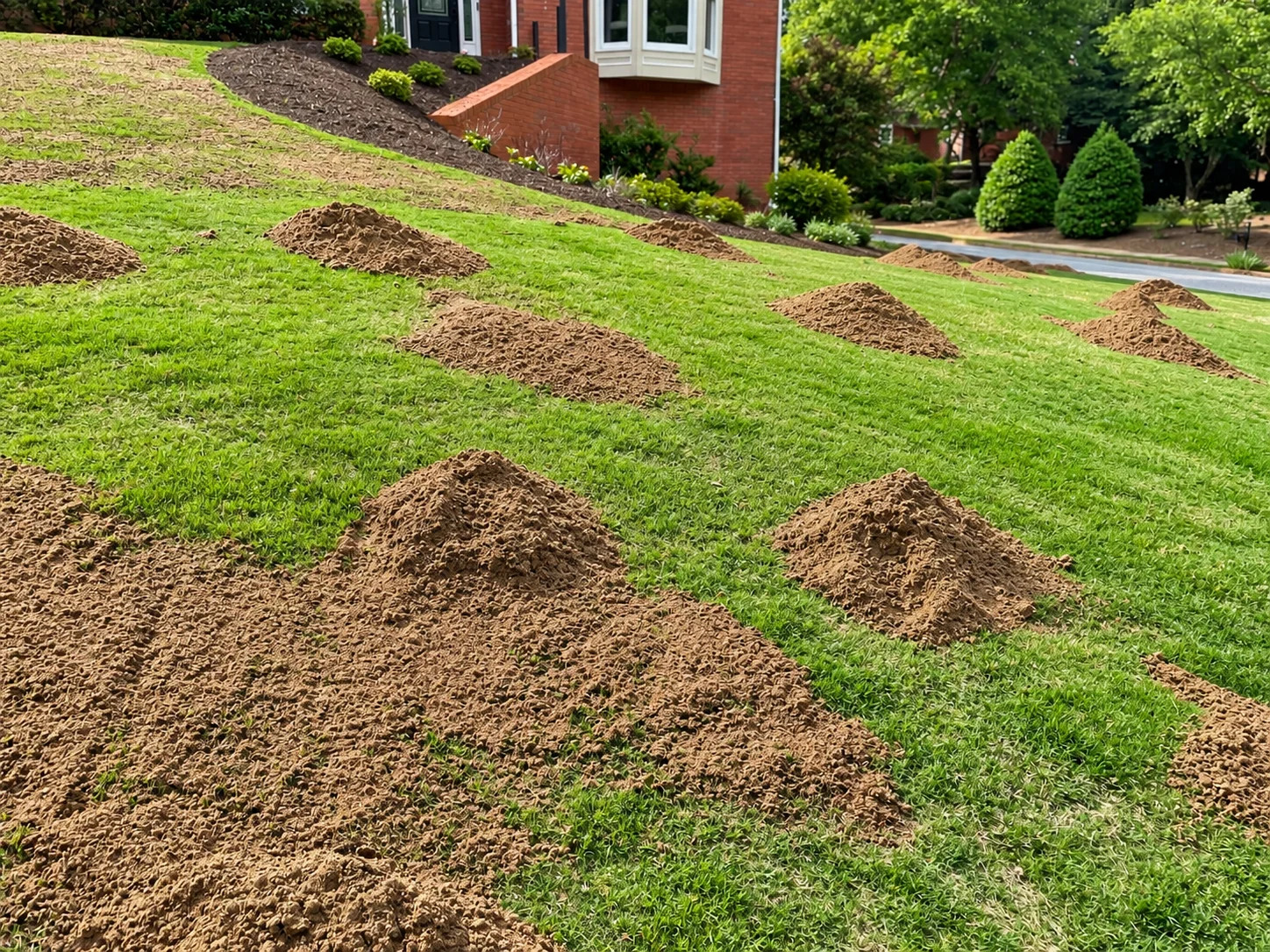 Landscaping with soil mounds in a residential area