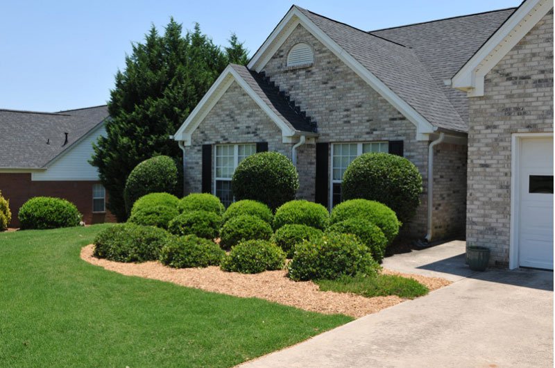 Well-maintained brick house with manicured shrubbery and lawn