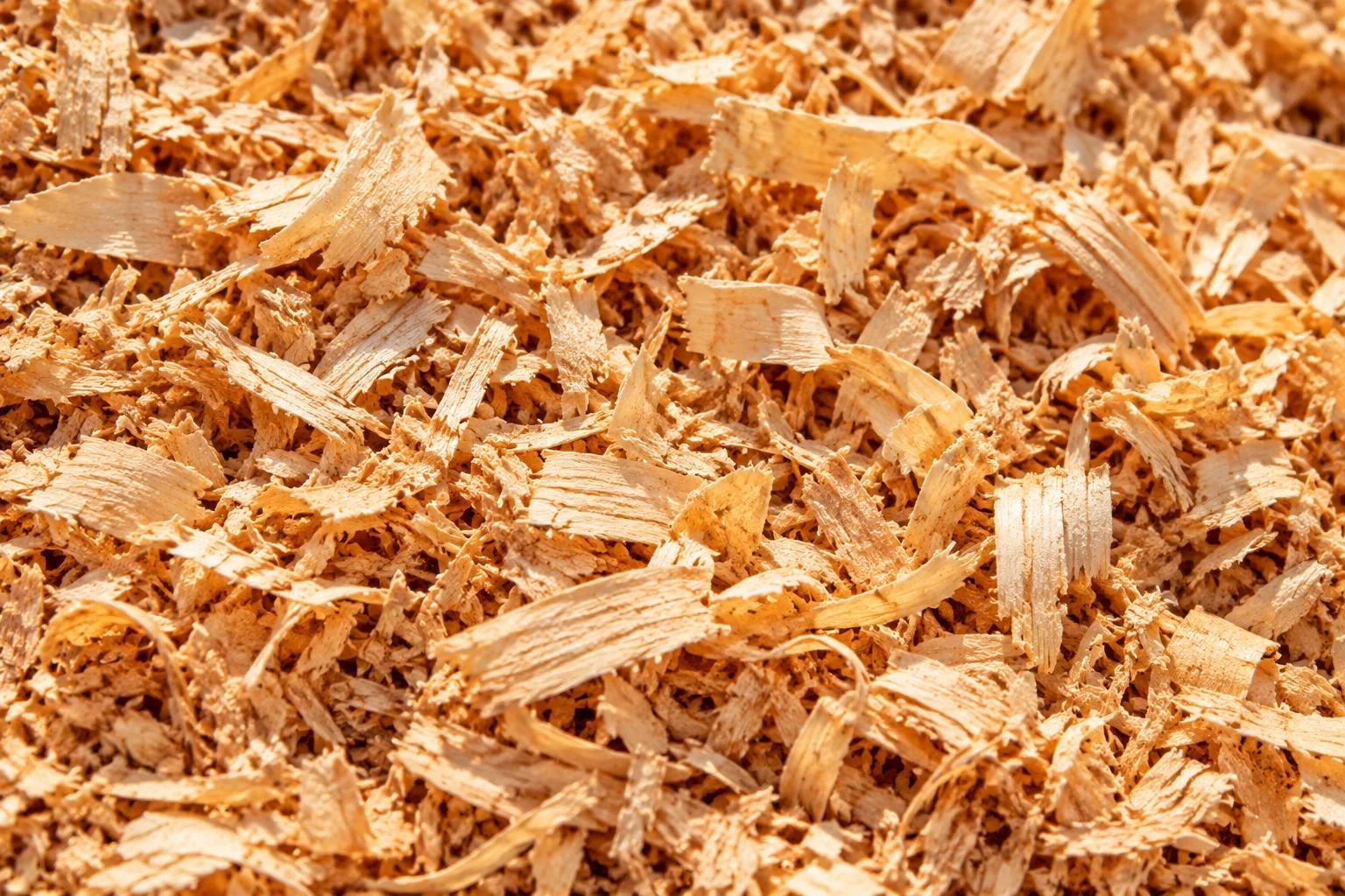 Close-up of wood shavings on a surface