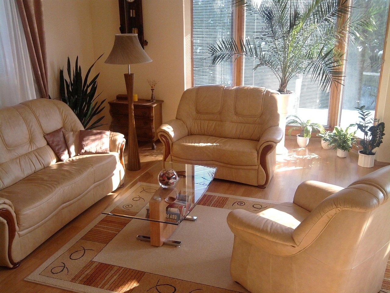 Cozy living room with beige leather sofas and plants