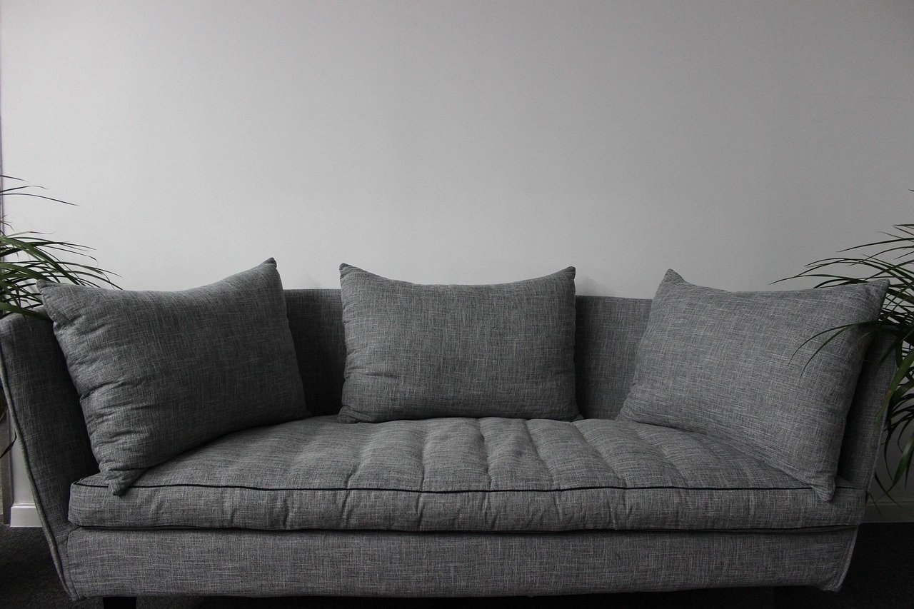 Modern gray couch with cushions and plants