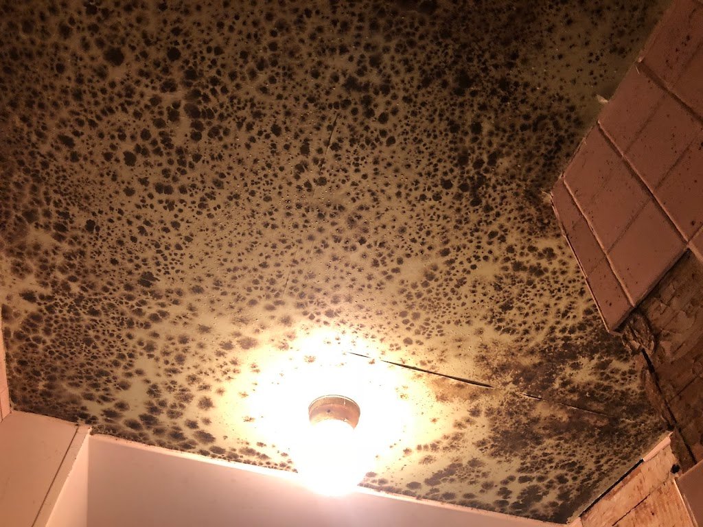 Moldy ceiling with visible dark spots and a light fixture
